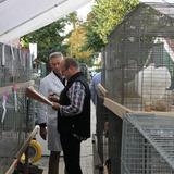 Aalten, Kleindiervereniging, keuring, 8 oktober 2016 023.jpg